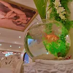 Imperia فندق